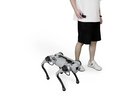 Unitree Go1 Pro Roboterhund